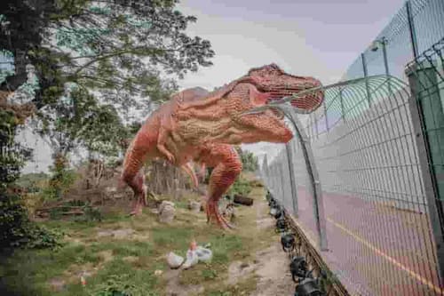 Changi Jurassic Mile – Things to do in Singapore